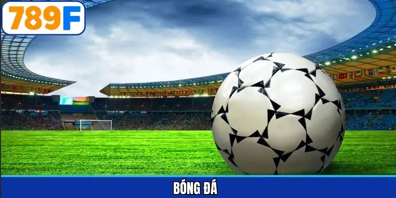 Bóng đá