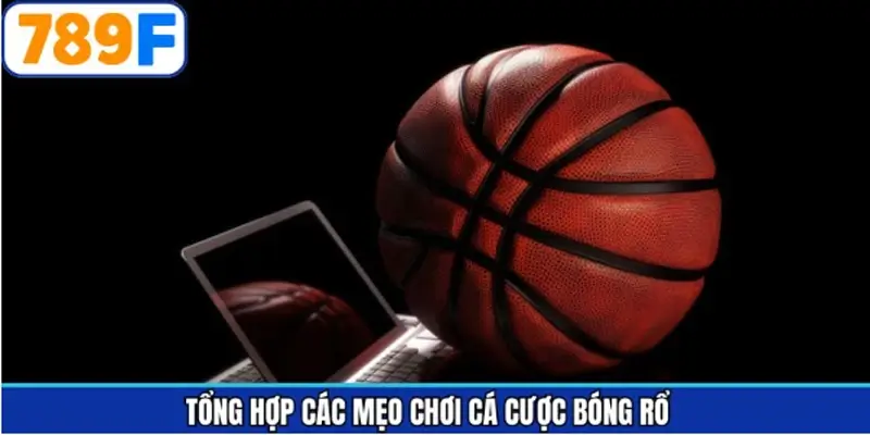 Chiến thuật cá độ bóng rổ trăm trận trăm thắng chuẩn nhất Chiến thuật cá độ bóng rổ trăm trận trăm thắng chuẩn nhất