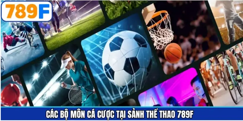Những siêu phẩm cá cược thể thao kịch tính ở sảnh game Những siêu phẩm cá cược thể thao kịch tính ở sảnh game