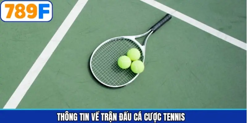 789F cung cấp dữ liệu tennis quan trọng cho hội viên 789F cung cấp dữ liệu tennis quan trọng cho hội viên