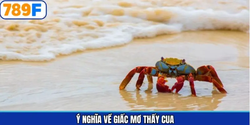 Biểu tượng con cua gắn liền sự bền vững