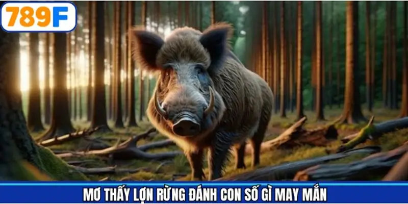 Bộ số không nên bỏ qua khi mộng thấy heo rừng