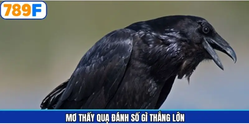 Các con số may mắn khi thử vận may với lô đề