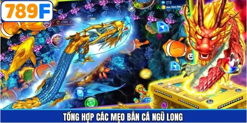 Các mẹo bắn cá Ngũ Long hiệu quả nên áp dụng Các mẹo bắn cá Ngũ Long hiệu quả nên áp dụng