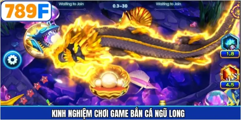 Các mẹo tham gia săn cá ngũ long hiệu quả trên 789F