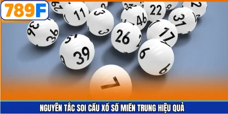 Các nguyên tắc nên chú ý khi tham gia xổ số miền Trung Các nguyên tắc nên chú ý khi tham gia xổ số miền Trung