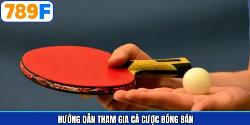 Cách tham gia cá cược bóng bàn 789F Cách tham gia cá cược bóng bàn 789F