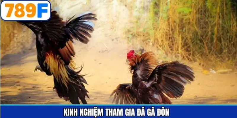 Chiến thuật cược hiệu quả cho thành viên Chiến thuật cược hiệu quả cho thành viên