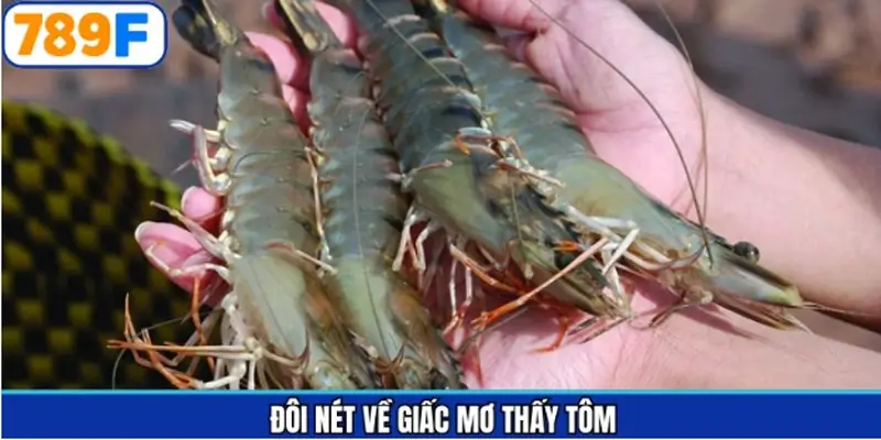 Đôi nét thông tin khi mộng thấy tôm Đôi nét thông tin khi mộng thấy tôm