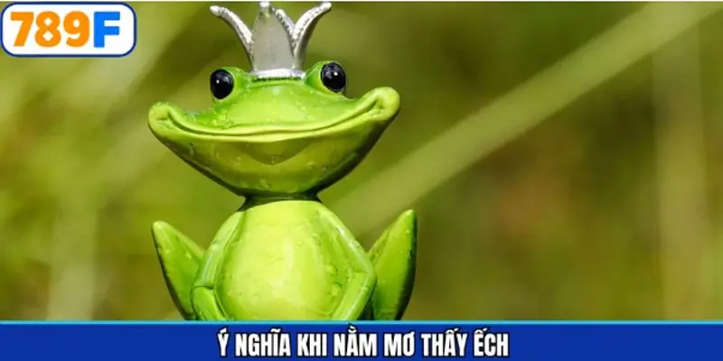 Giải đáp thắc mắc về chiêm bao thường gặp