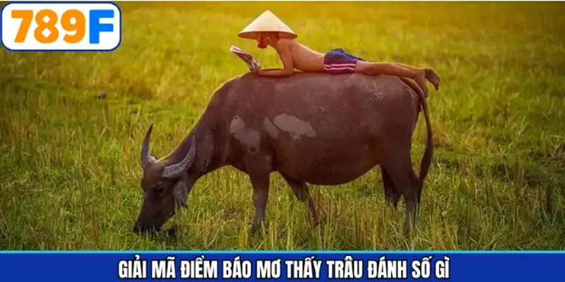Giải đáp thông điệp cụ thể mơ thấy trâu đánh số gì