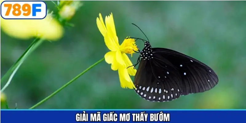 Giải mã chi tiết từng giấc mộng về bướm