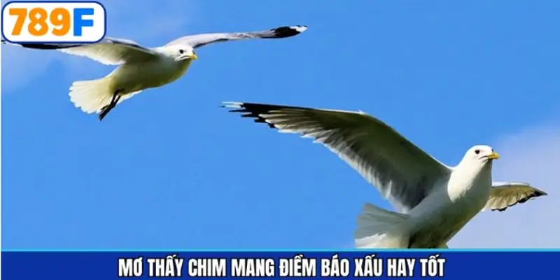 Giải nghĩa các tình huống chiêm bao phổ biến