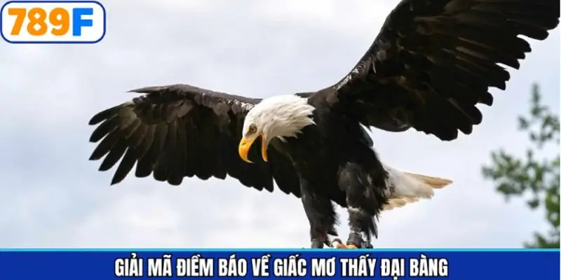 Giải thích cho tiết về giấc mơ thấy đại bàng và các điềm báo