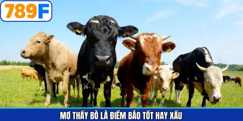 Giải thích ý nghĩa xuất hiện trong chiêm bao