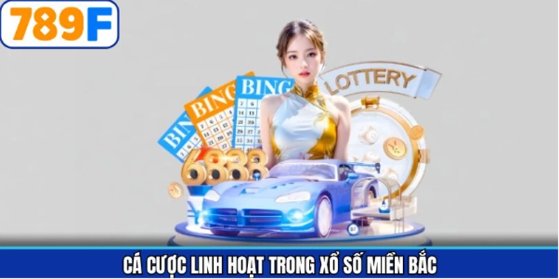 Hội viên trải nghiệm cá cược linh hoạt