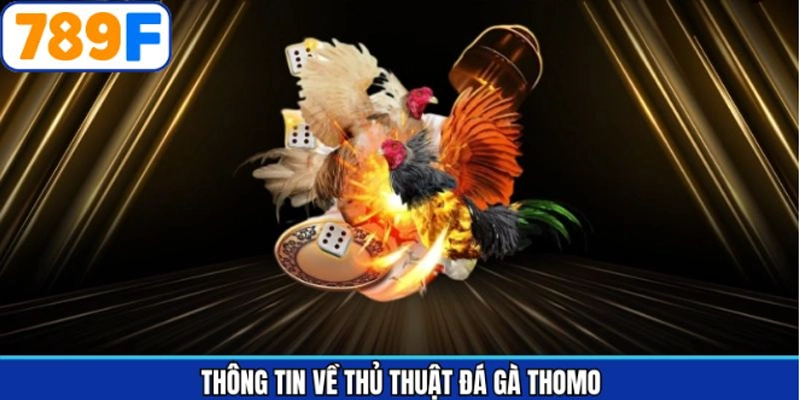 Khái quát chung thông tin về các chiến thuật chọi kê Thomo Khái quát chung thông tin về các chiến thuật chọi kê Thomo