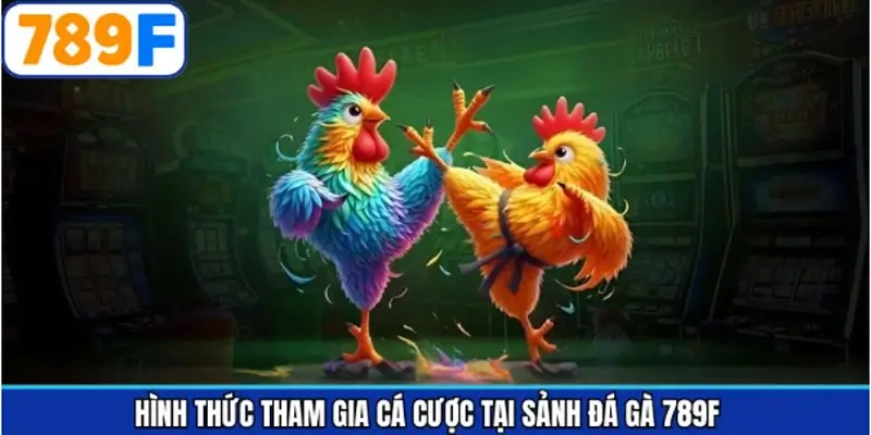 Khám phá các chọi gà phổ biến nhất trong sảnh cược 789F