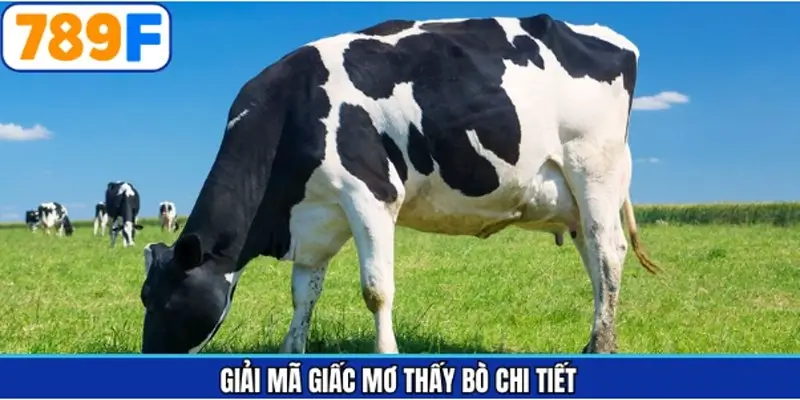 Khám phá ý nghĩa mơ thấy bò đánh con gì