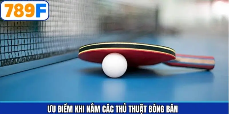 Lợi ích của việc nắm rõ các mẹo tham gia bóng bàn Lợi ích của việc nắm rõ các mẹo tham gia bóng bàn