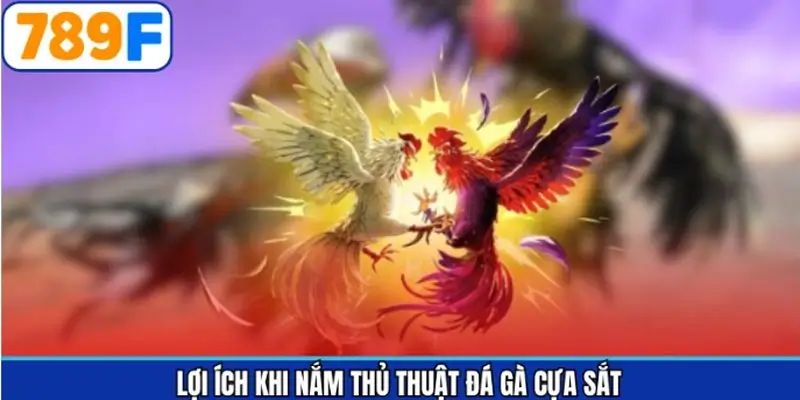 Lợi ích khi áp dụng chiến lược chọn kèo đá gà