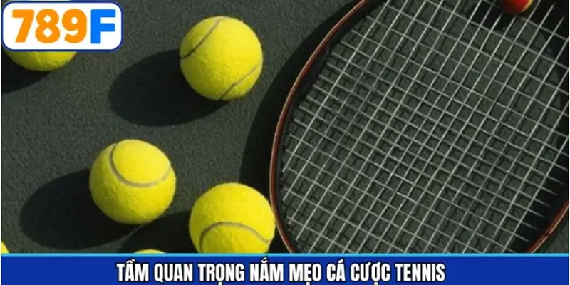 Lợi ích khi tìm hiểu chiến thuật cá cược tennis Lợi ích khi tìm hiểu chiến thuật cá cược tennis