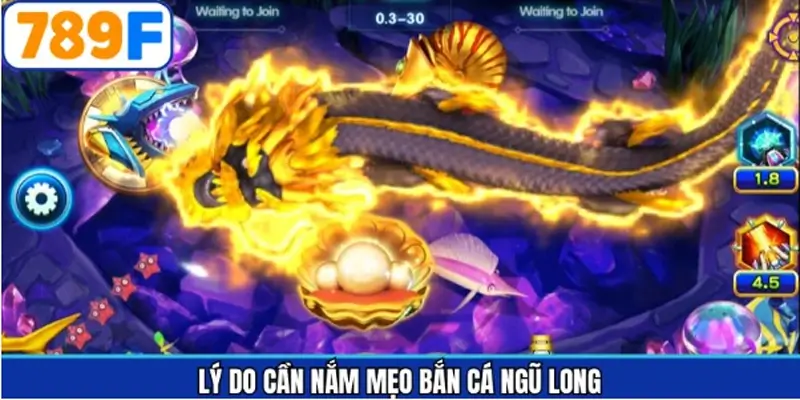 Lợi ích nhận được khi áp dụng mẹo săn cá Ngũ Long Lợi ích nhận được khi áp dụng mẹo săn cá Ngũ Long