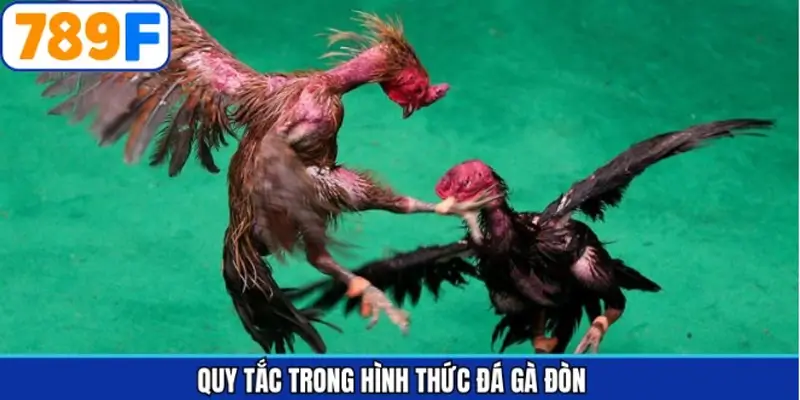 Luật chơi cơ bản trong đá gà Luật chơi cơ bản trong đá gà