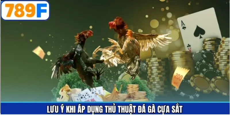 Lưu ý quan trọng để tránh rủi ro khi đặt cược đá gà cựa sắt