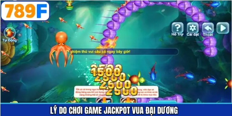 Lý do trò chơi Vua đại dương được nhiều người tham gia