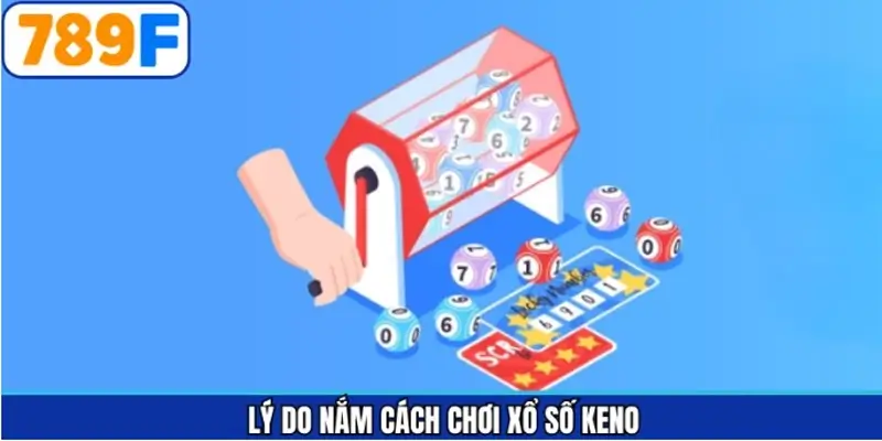 Lý do vì sao thành viên nên áp dụng cách chơi xổ số Keno