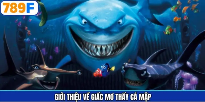 Lý luận đơn giản về vấn đề chiêm bao gặp cá mập Lý luận đơn giản về vấn đề chiêm bao gặp cá mập