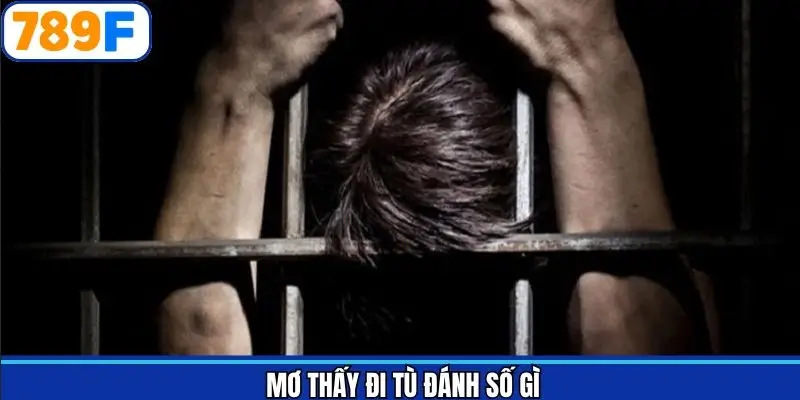 Mơ thấy đi tù đánh số gì