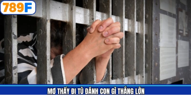 Mơ thấy đi tù đánh số gì phát tài phát lộc nhất Mơ thấy đi tù đánh số gì phát tài phát lộc nhất