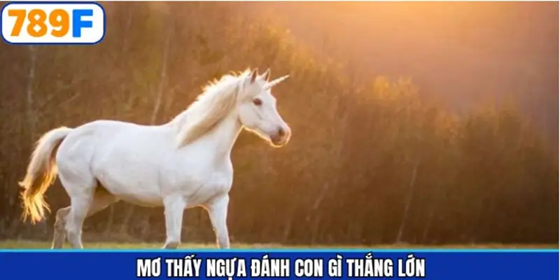 Mơ thấy ngựa đánh con gì cùng các số may mắn nhất