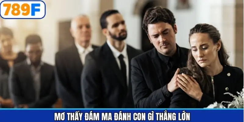 Nằm mơ thấy đám ma đánh số gì - Cùng con số may mắn Nằm mơ thấy đám ma đánh số gì - Cùng con số may mắn