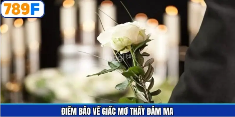 Nằm mơ thấy đám ma và có điềm báo thế nào? Nằm mơ thấy đám ma và có điềm báo thế nào?