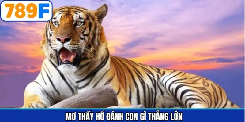 Nên chọn lô mấy để đánh khi gặp trong chiêm bao