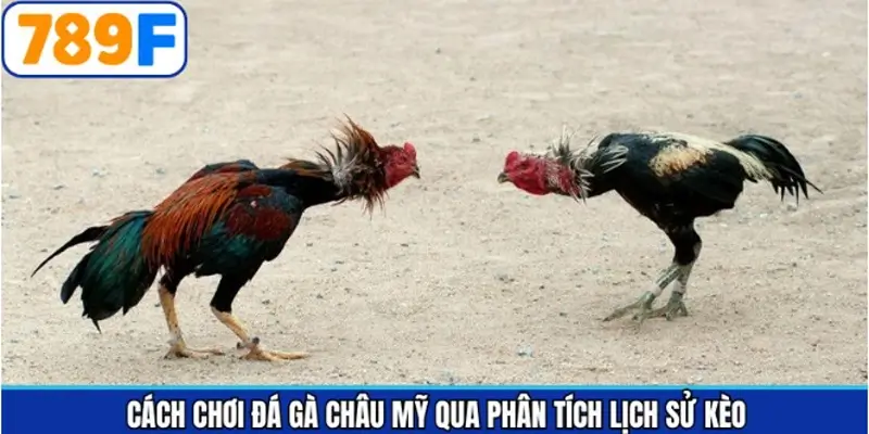 Nghiên cứu kỹ lưỡng về lịch sử kèo cược