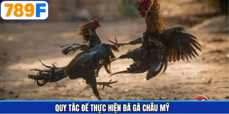 Những quy định cần biết trước khi tham gia đặt cược trận đá