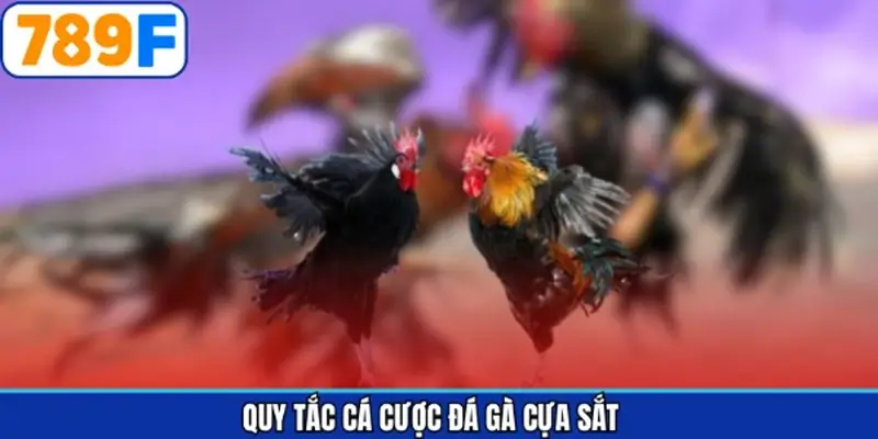 Những quy định quan trọng cần chú ý trong đá gà cựa sắt