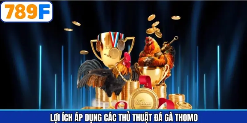 Những thủ thuật cược chọi kê Thomo đem lại nhiều lợi ích Những thủ thuật cược chọi kê Thomo đem lại nhiều lợi ích