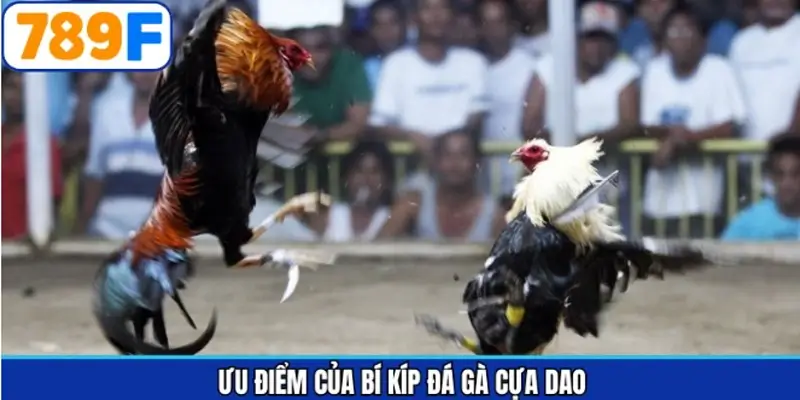 Tầm quan trọng khi bỏ túi các chiến lược cược