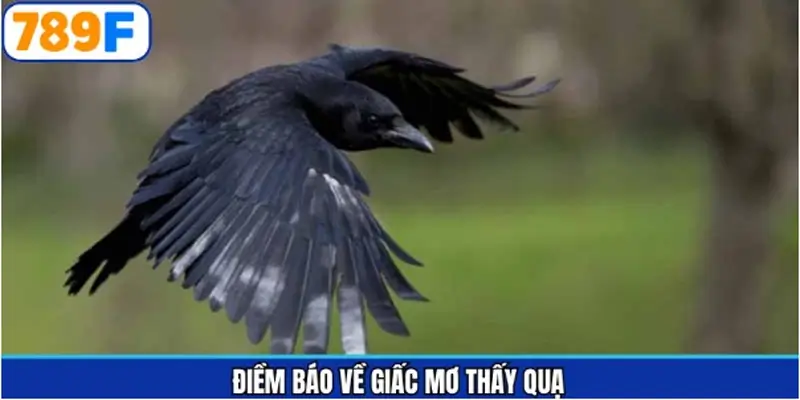 Thông điệp gửi gắm đến từng giấc chiêm bao