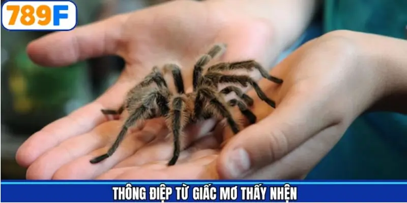 Thông điệp mơ thấy nhện đánh số gì từ 789F Thông điệp mơ thấy nhện đánh số gì từ 789F