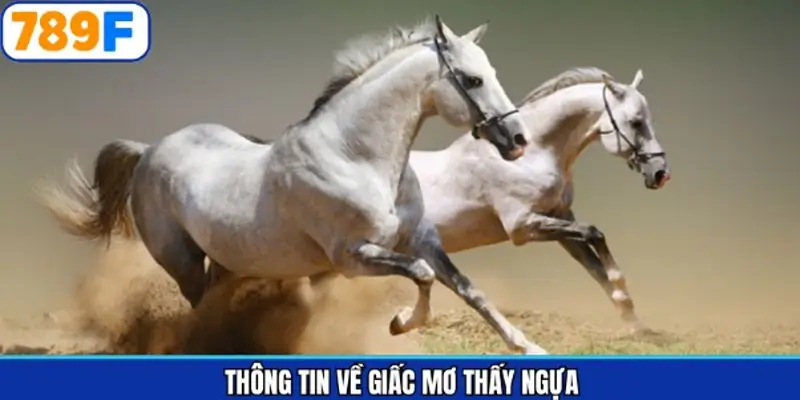 Thông tin chung khi gặp chiêm bao về xích thố Thông tin chung khi gặp chiêm bao về xích thố