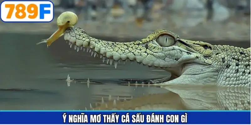 Thông tin cơ bản về ý nghĩa giấc chiêm bao Thông tin cơ bản về ý nghĩa giấc chiêm bao