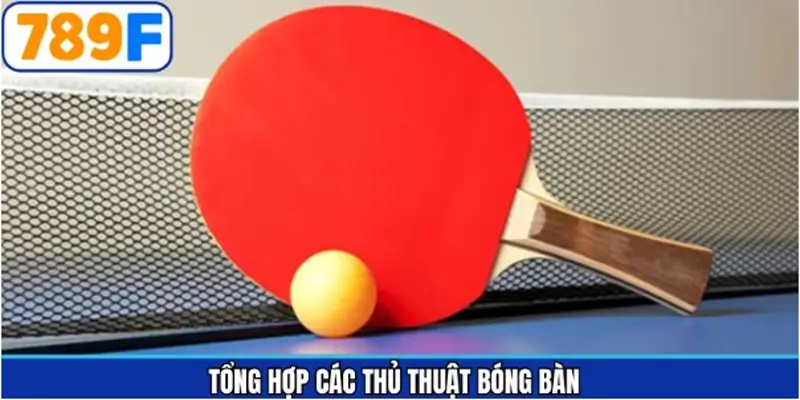 Thủ thuật bóng bàn hiệu quả từ cao thủ 789F Thủ thuật bóng bàn hiệu quả từ cao thủ 789F