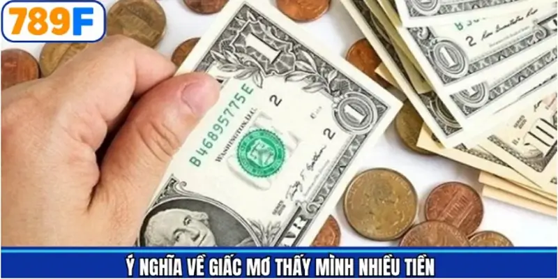 Tìm hiểu chi tiết khi mơ thấy mình nhiều tiền Tìm hiểu chi tiết khi mơ thấy mình nhiều tiền