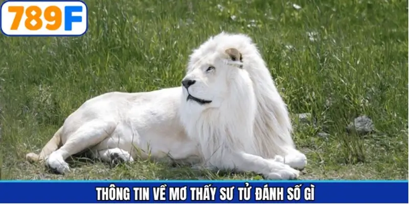 Tổng quan thông tin mơ thấy sư tử đánh số gì Tổng quan thông tin mơ thấy sư tử đánh số gì